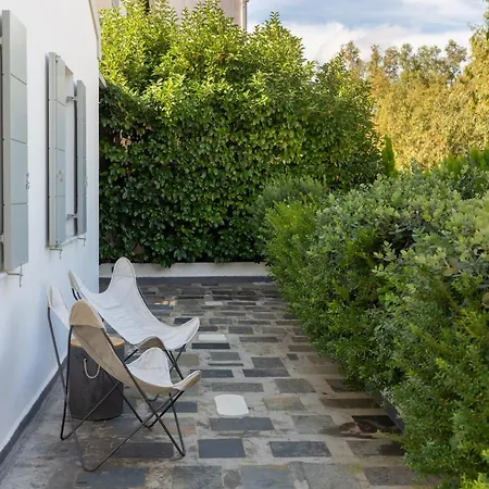 Olvio Living By The Sea *